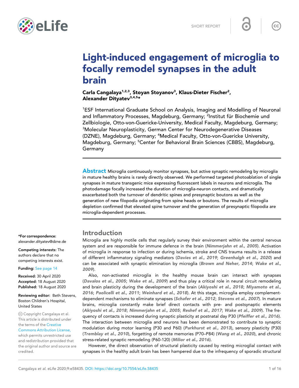 Light-Induced Engagement of Microglia to Focally Remodel