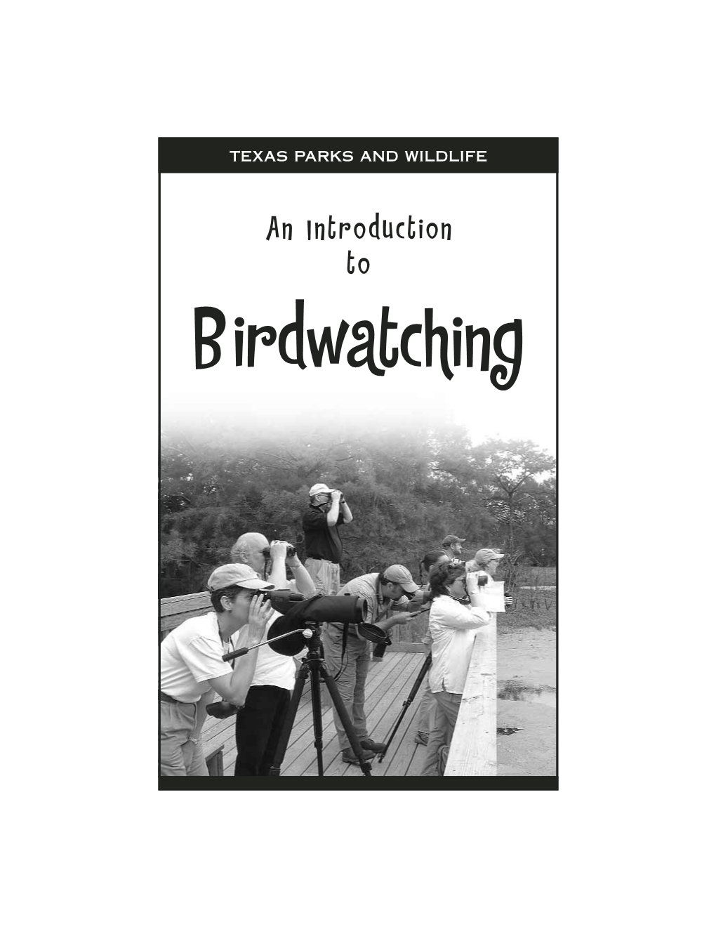 An Introduction to Bird Watching