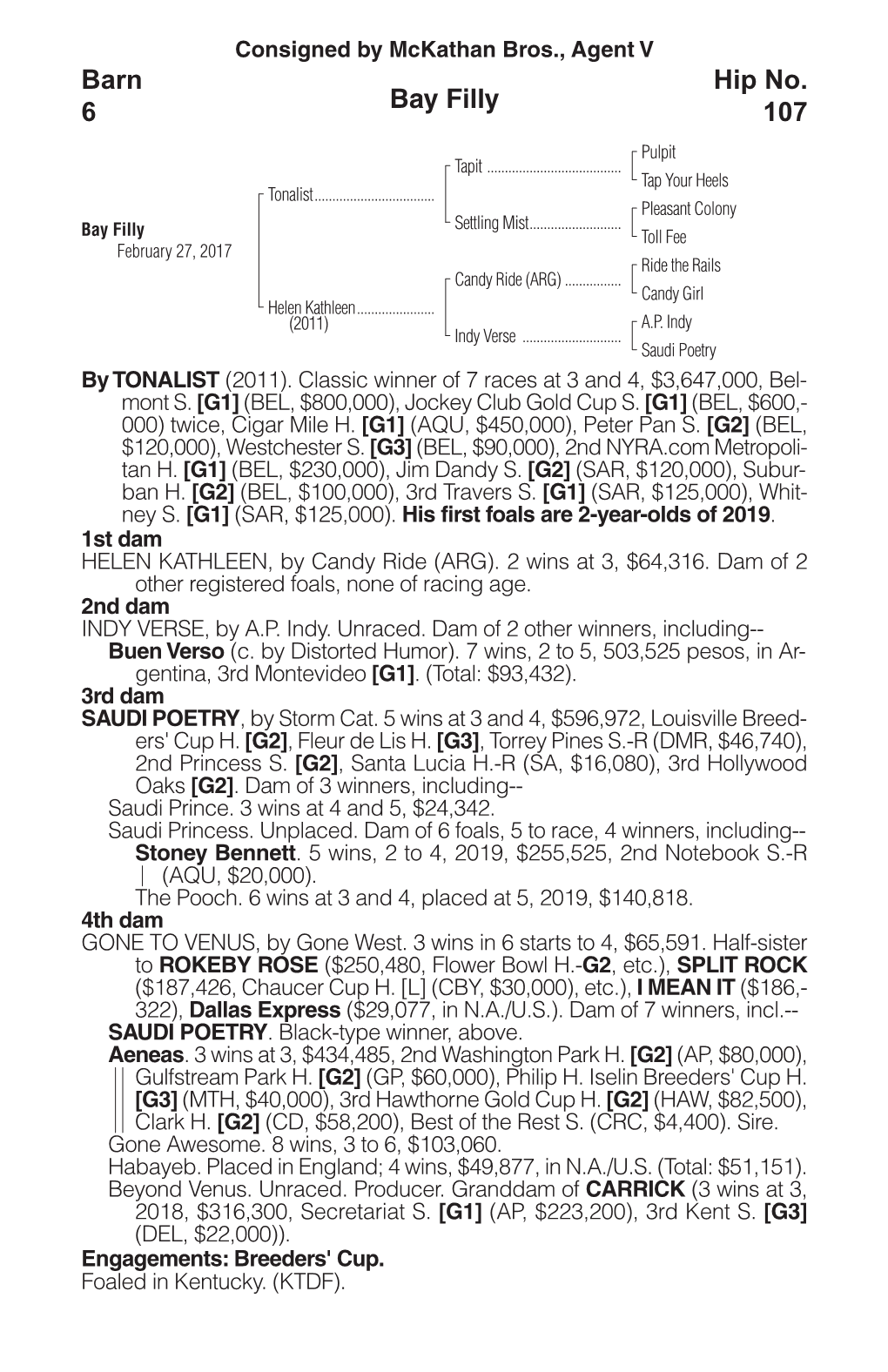 Bay Filly Barn 6 Hip No