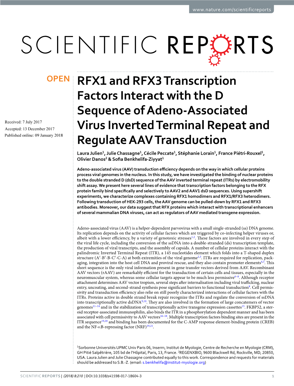 RFX1 and RFX3 Transcription Factors Interact with the D Sequence Of