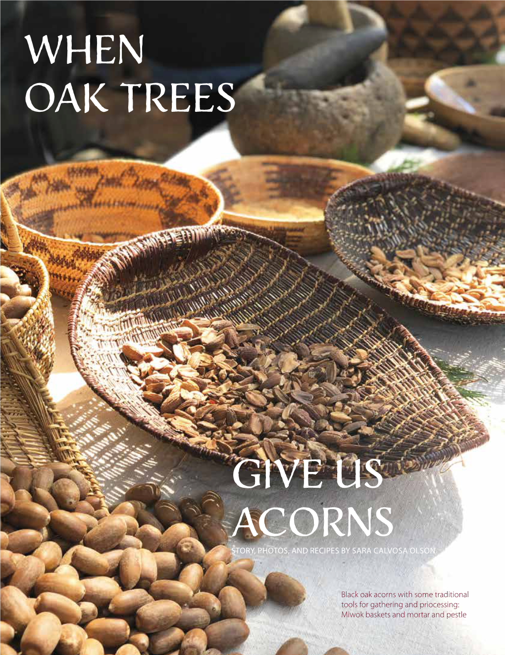 When Oak Trees Give Us Acorns