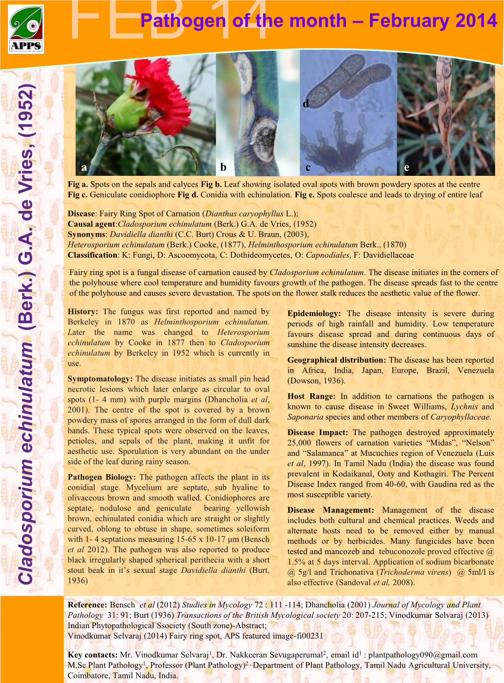 Clado Spo Rium Ech Inulatum (Berk.) G.A. De V Ries, (19 52) Pathogen of the Month – February 2014
