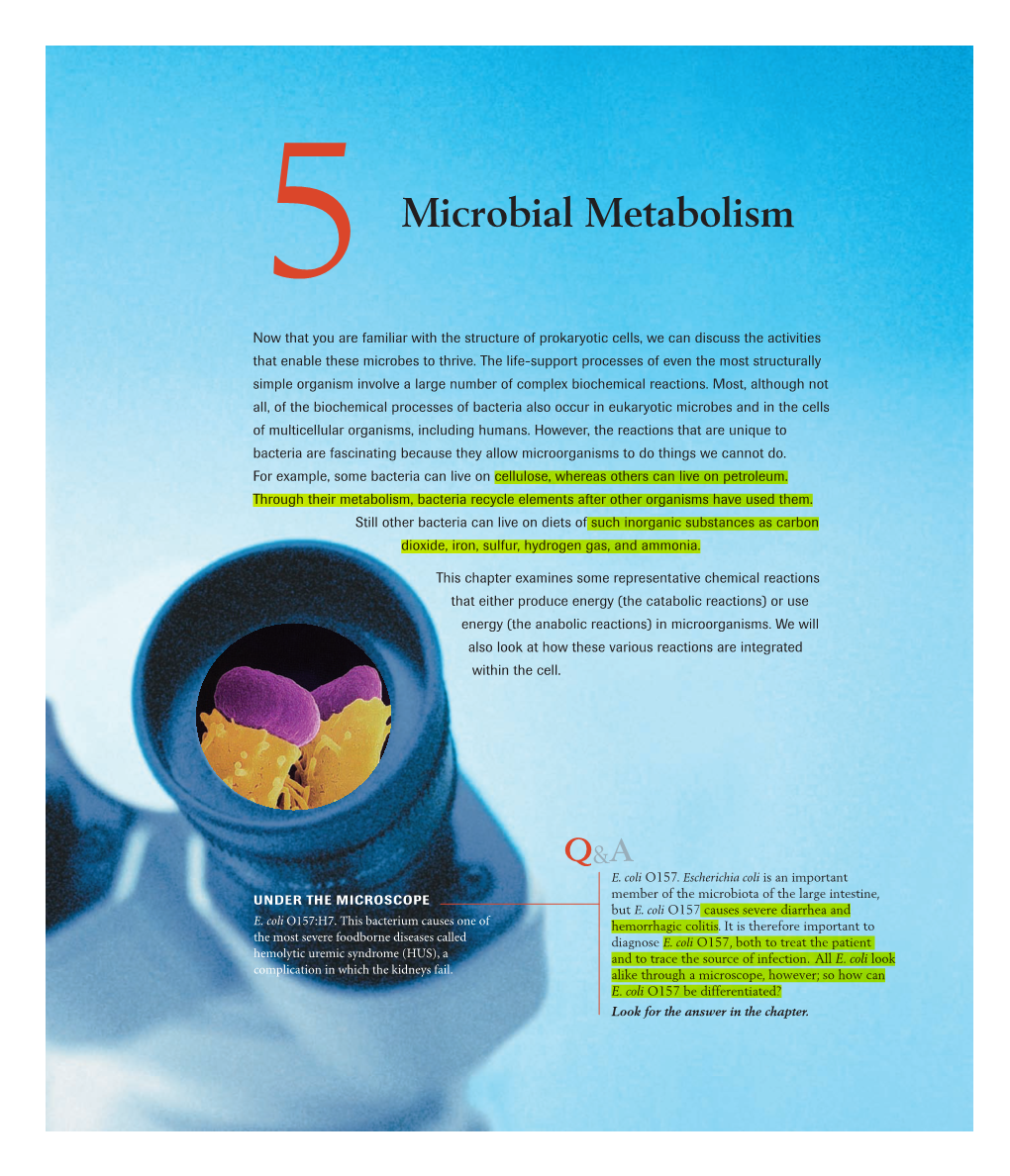 Microbial Metabolism Now That You Are Familiar with the Structure of Prokaryotic Cells, We Can Discuss the Activities That Enable These Microbes to Thrive