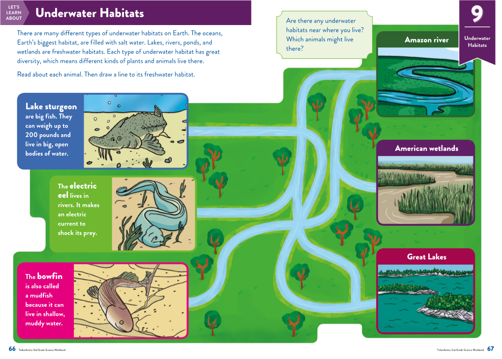 Underwater Habitatsunderwater HABITATS Project 9: Are There Any Underwater 9 There Are Many Different Types of Underwater Habitats on Earth