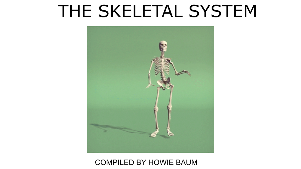 The Skeletal System