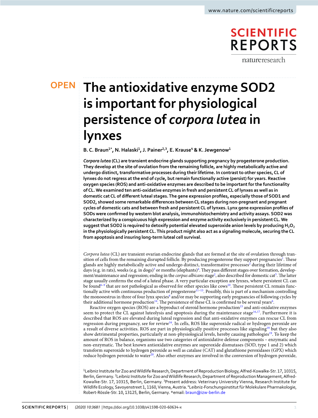 The Antioxidative Enzyme SOD2 Is Important for Physiological Persistence of Corpora Lutea in Lynxes B