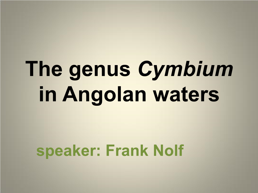 The Genus Cymbium in Angolese Waters