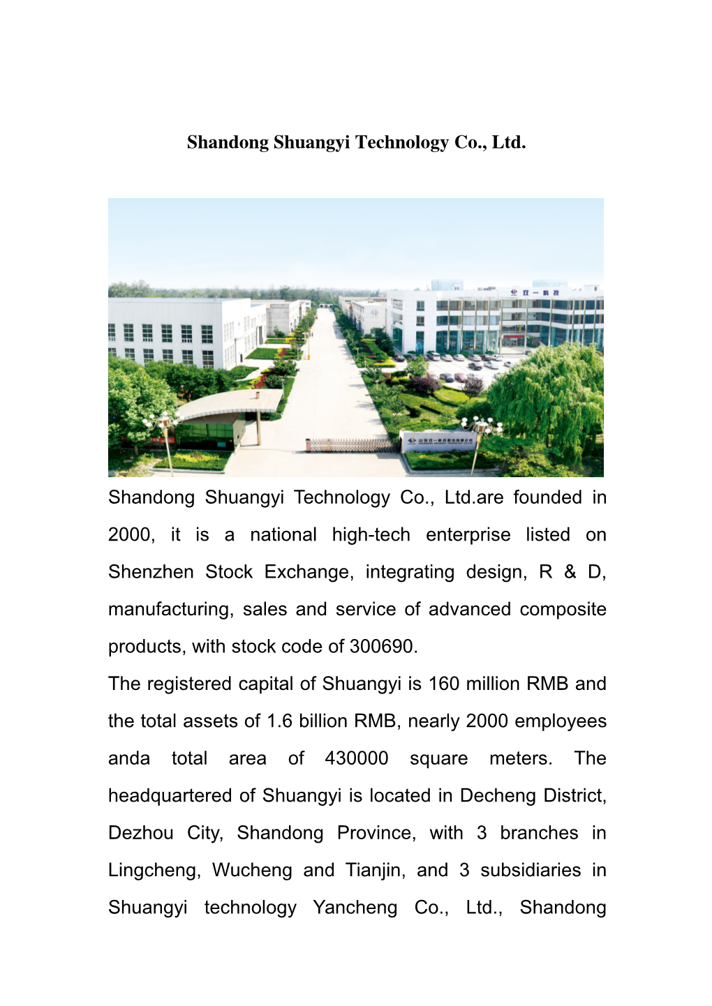 Shandong Shuangyi Technology Co., Ltd. Shandong Shuangyi