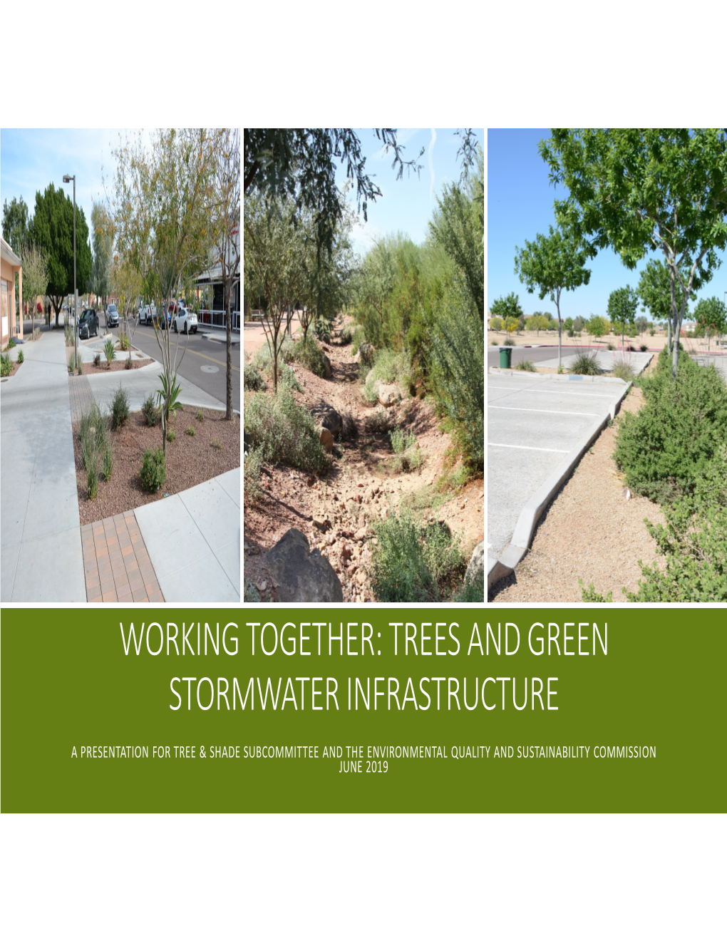 Trees and Green Stormwater Infrastructure