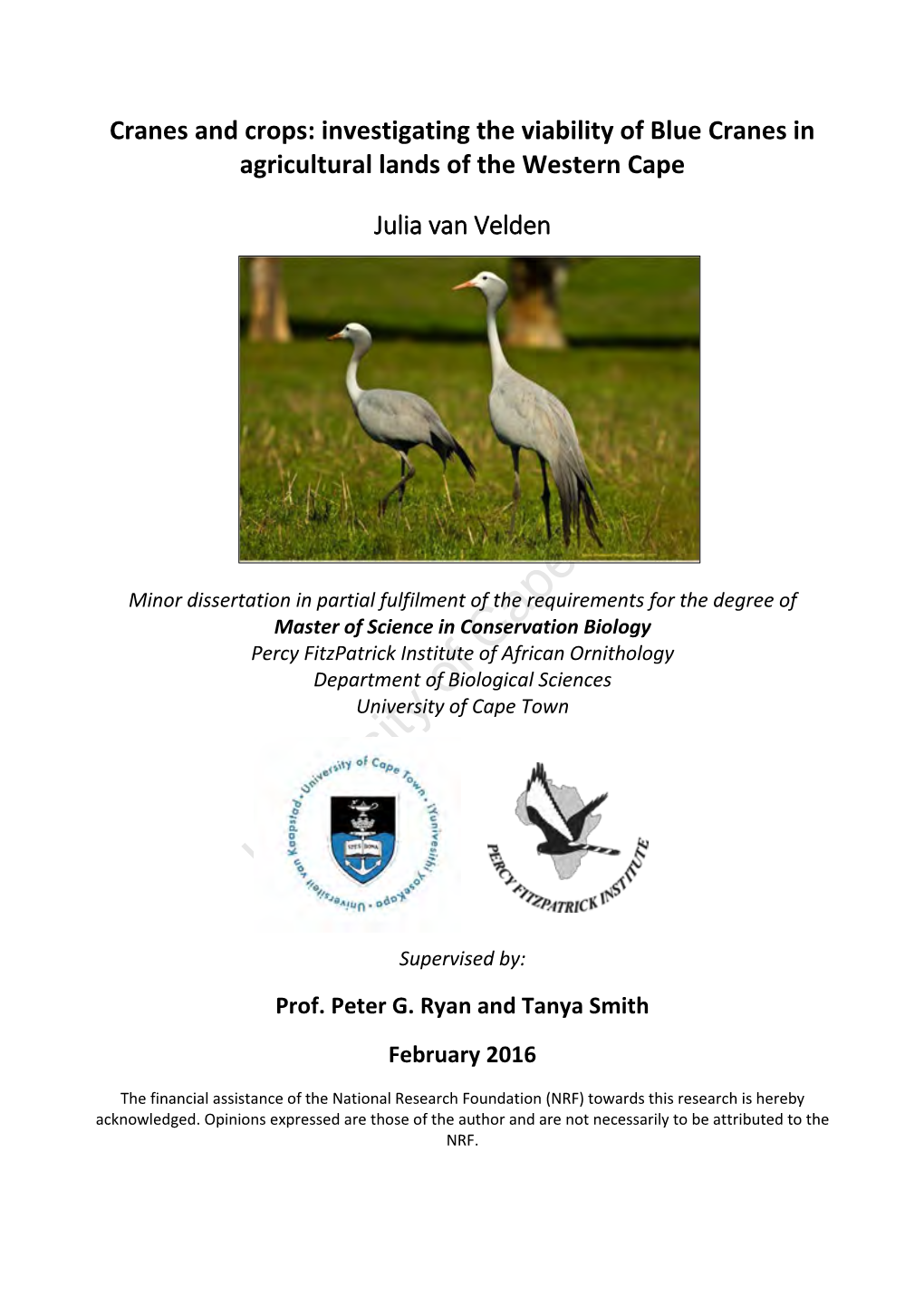 Cranes and Crops: Investigating the Viability of Blue Cranes in Agricultural Lands of the Western Cape