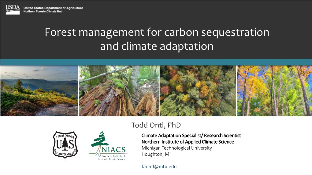 Forest Management for Carbon Sequestration and Climate Adaptation