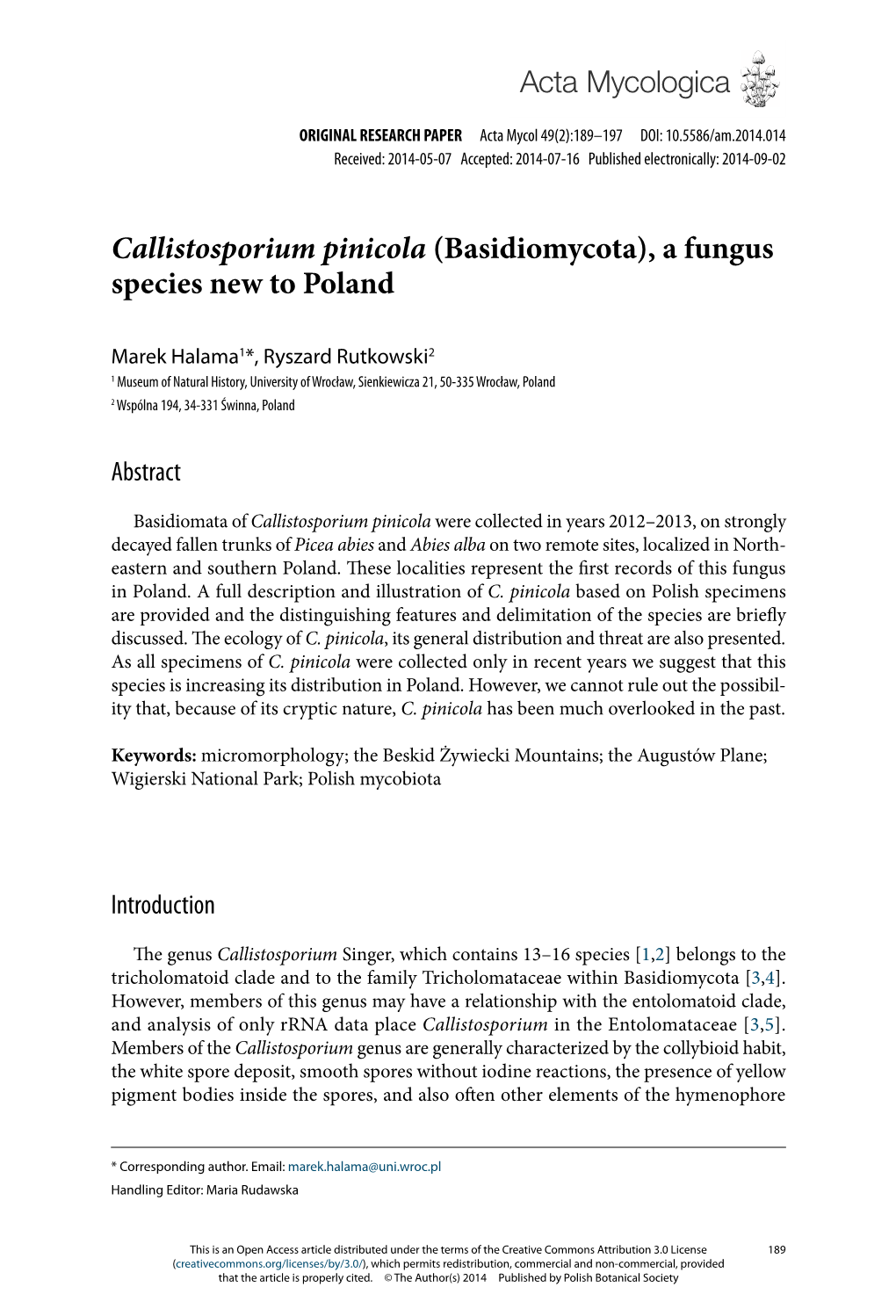 Callistosporium Pinicola (Basidiomycota), a Fungus Species New to Poland