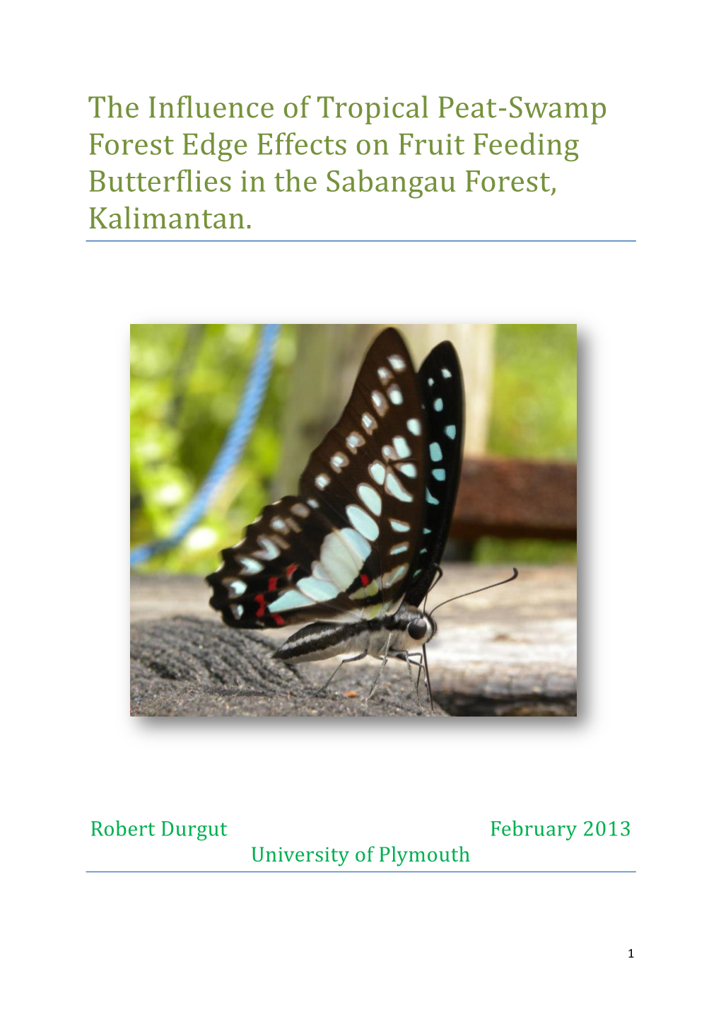 The Influence of Tropical Peat-Swamp Forest Edge Effects on Fruit Feeding Butterflies in the Sabangau Forest, Kalimantan