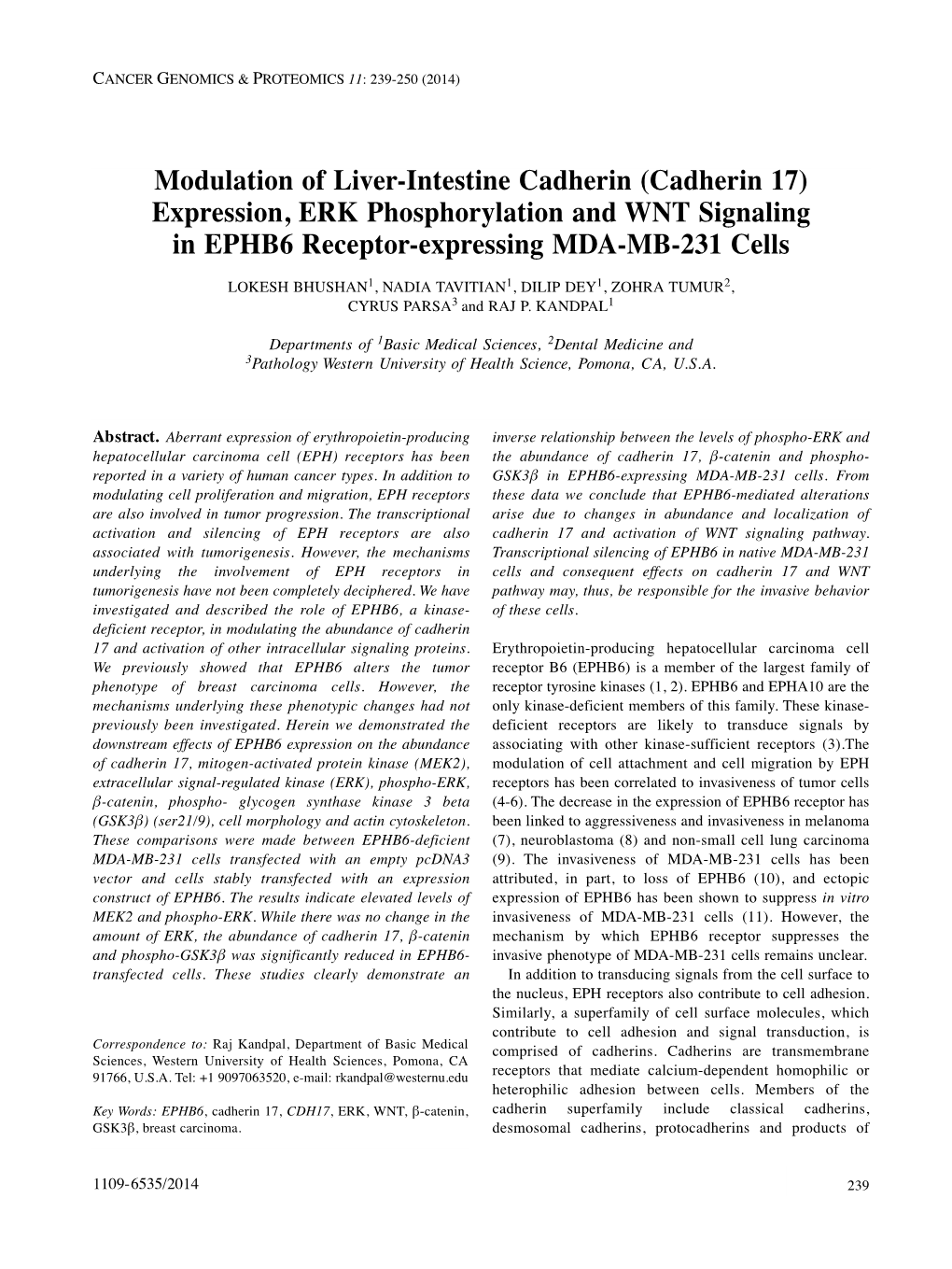 Expression, ERK Phosphorylation and WNT Signaling in EPHB6 Receptor