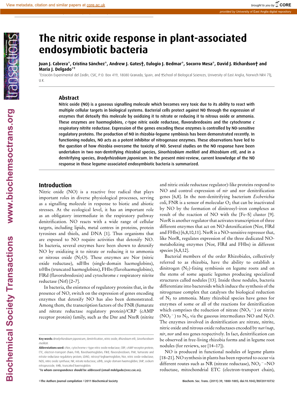 The Nitric Oxide Response in Plant-Associated Endosymbiotic Bacteria