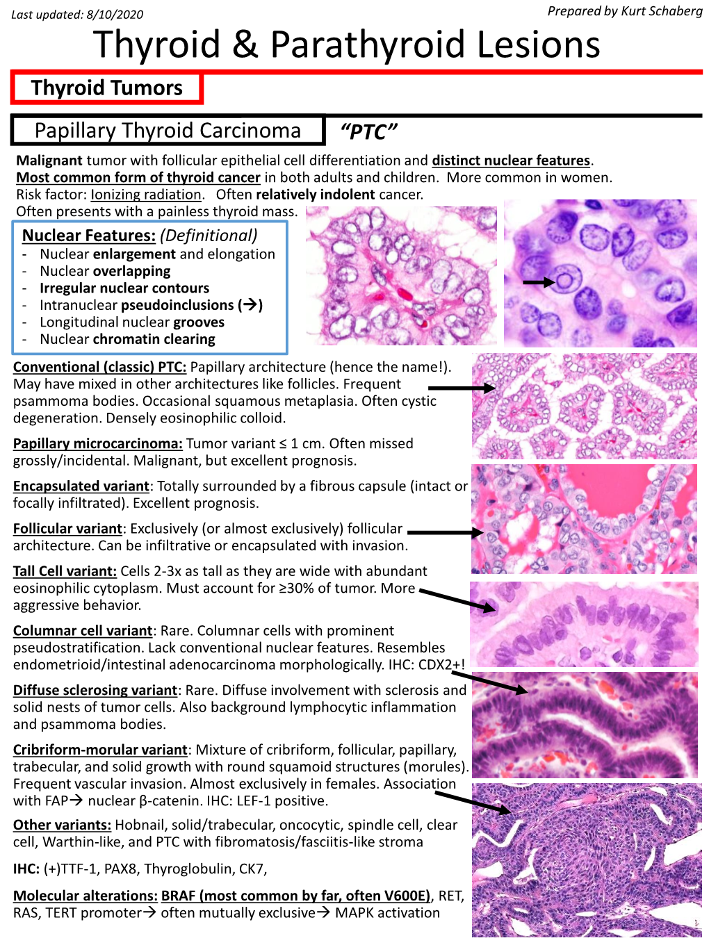 Thyroid & Parathyroid Lesions