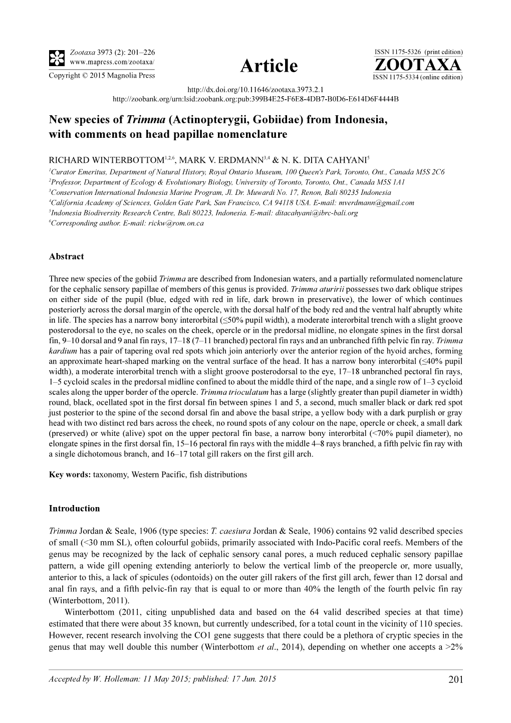 New Species of Trimma (Actinopterygii, Gobiidae) from Indonesia, with Comments on Head Papillae Nomenclature