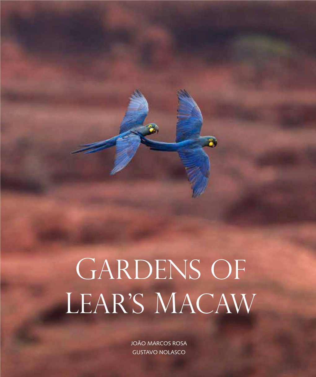 Gardens of Lear's Macaw