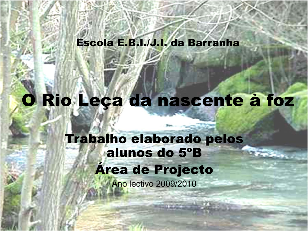 O Rio Leça Da Nascente À Foz