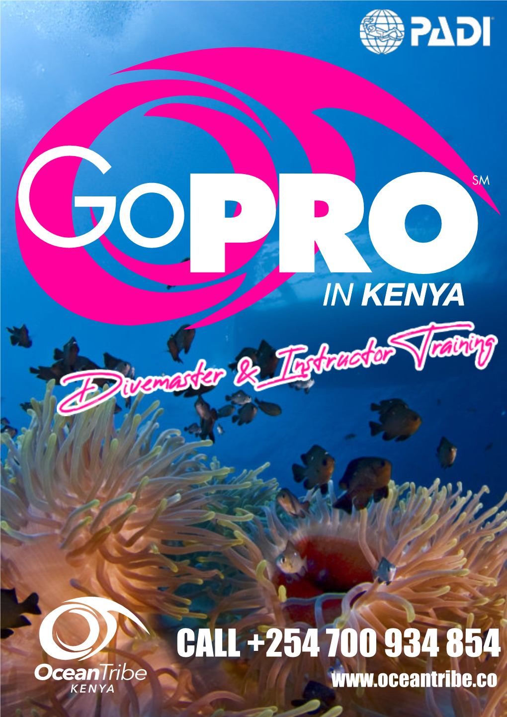 Go Pro Internships Brochure