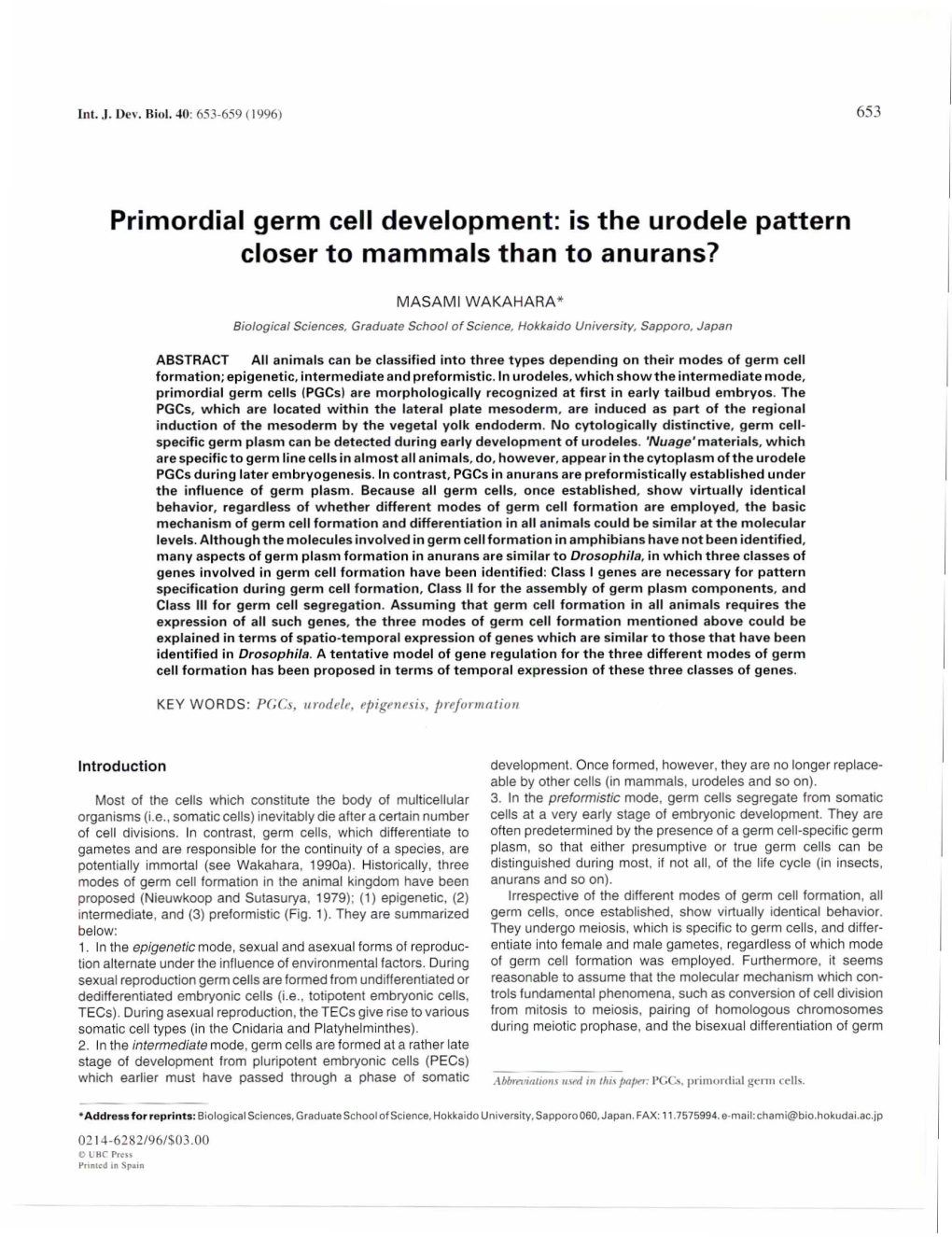Primordial Germ Cell Development: Is the Urodele Pattern Closer to Mammals Than to Anurans?
