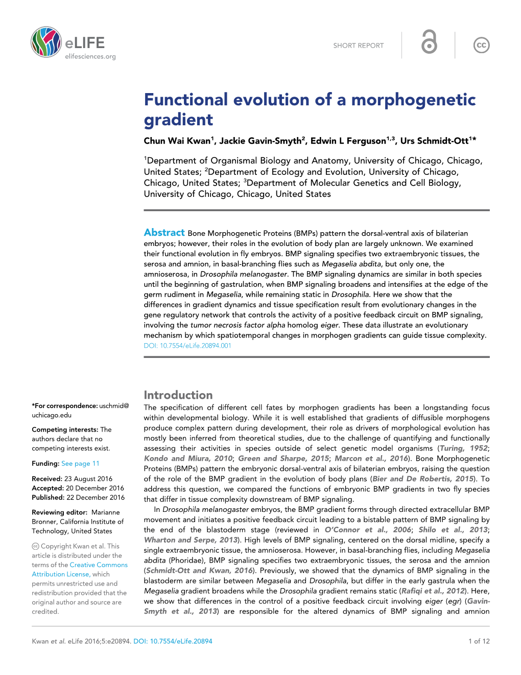 Functional Evolution of a Morphogenetic Gradient Chun Wai Kwan1, Jackie Gavin-Smyth2, Edwin L Ferguson1,3, Urs Schmidt-Ott1*