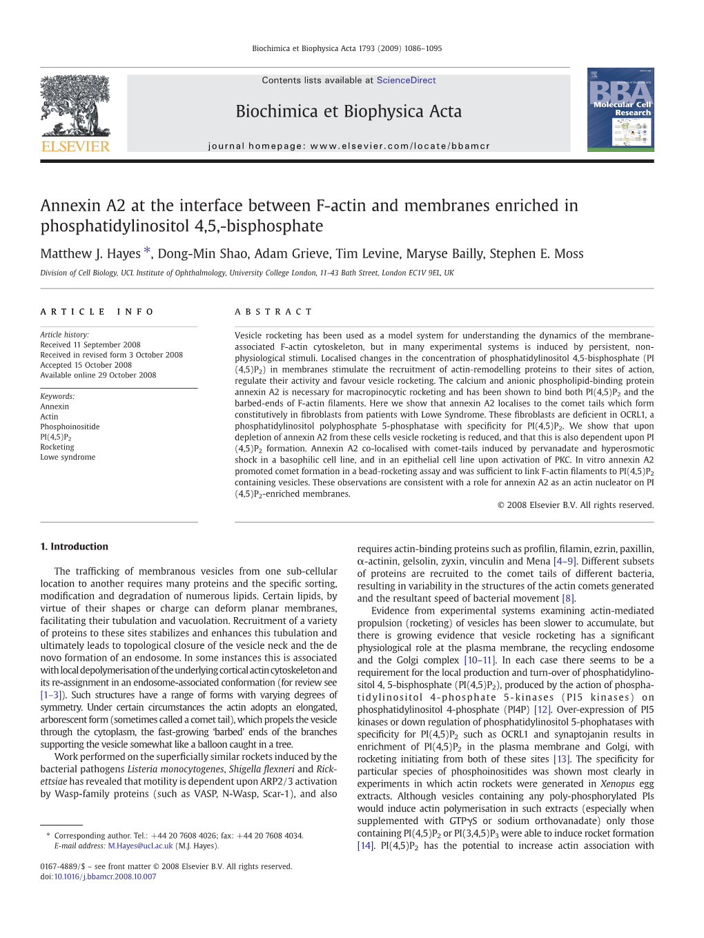 Annexin A2 at the Interface Between F-Actin and Membranes Enriched in Phosphatidylinositol 4,5,-Bisphosphate