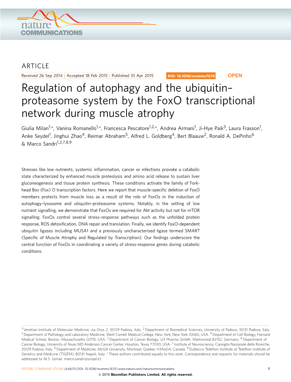 Proteasome System by the Foxo Transcriptional Network During Muscle Atrophy