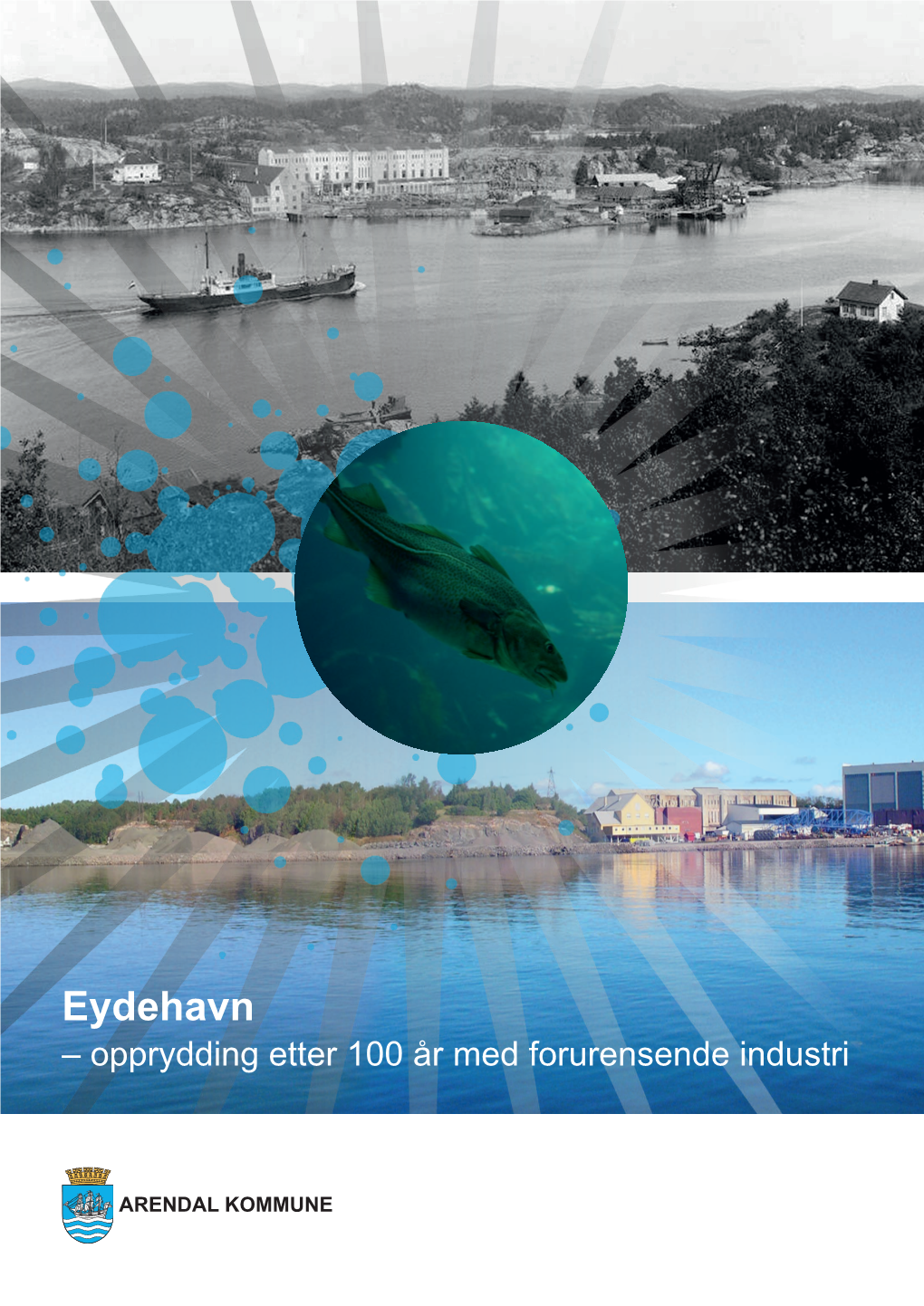 Eydehavn – Opprydding Etter 100 År Med Forurensende Industri