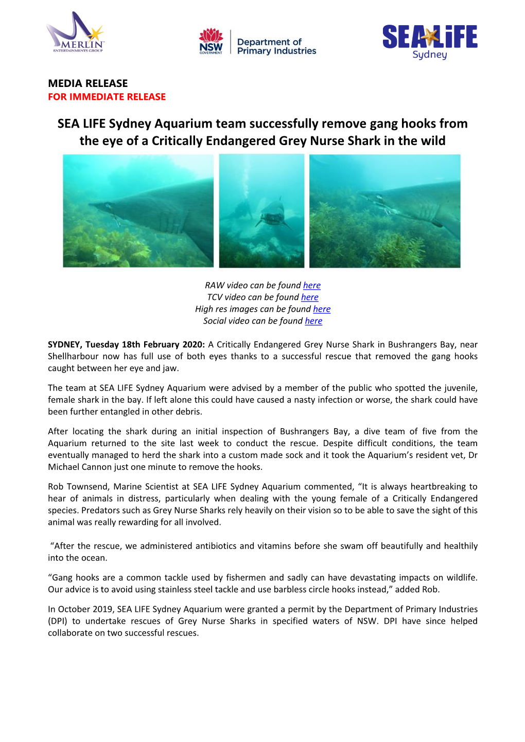 SEA LIFE Sydney Aquarium Team Successfully Remove Gang Hooks from the Eye of a Critically Endangered Grey Nurse Shark in the Wild