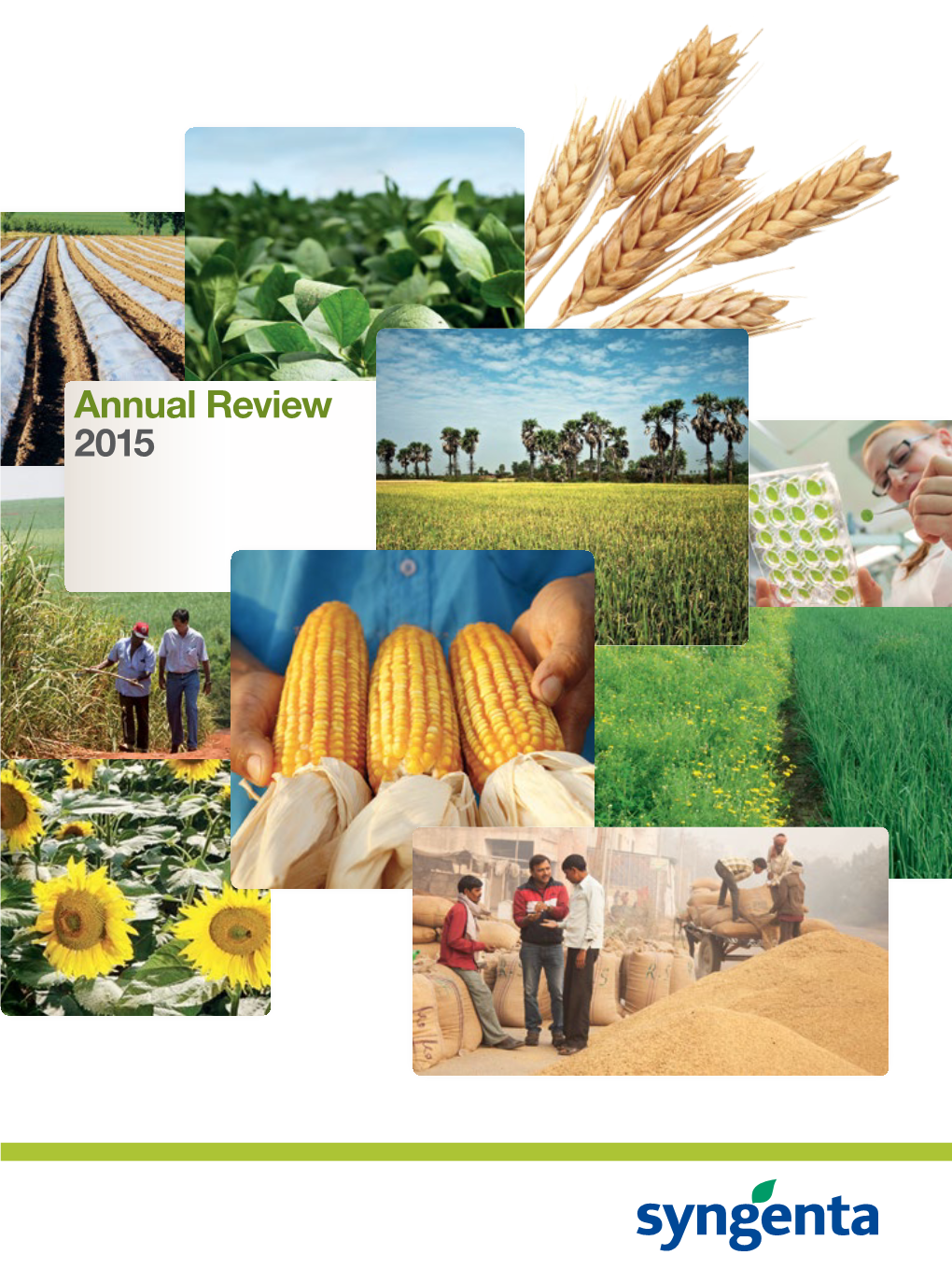 Annual Review 2015 2015 Reviewannual I Syngenta Annual Review 2015 Contents