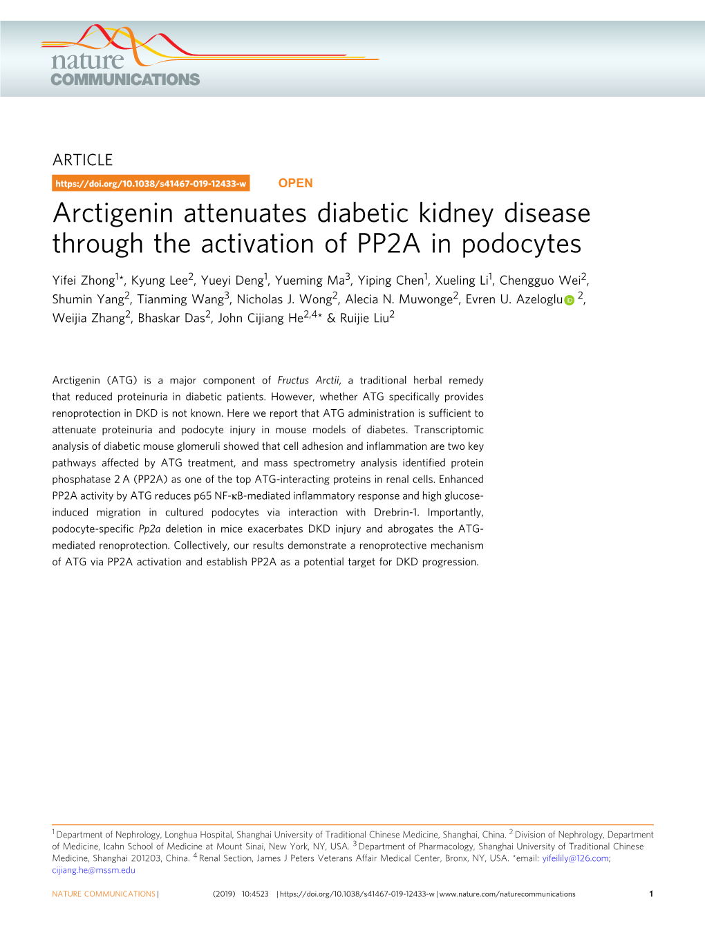 Arctigenin Attenuates Diabetic Kidney Disease Through the Activation of PP2A in Podocytes