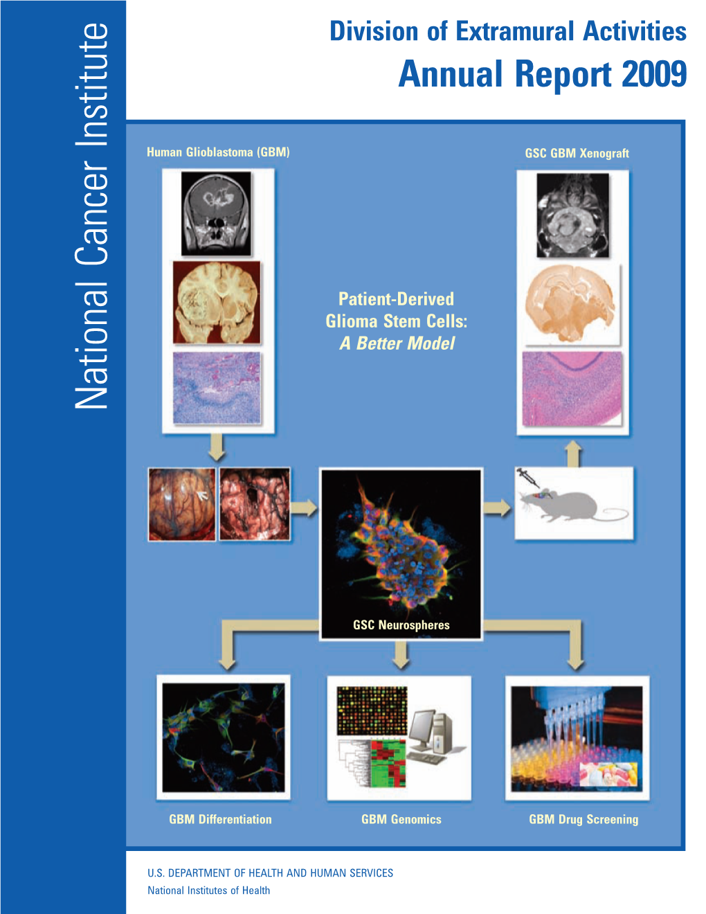 DEA 2009 Annual Report Contents Foreword