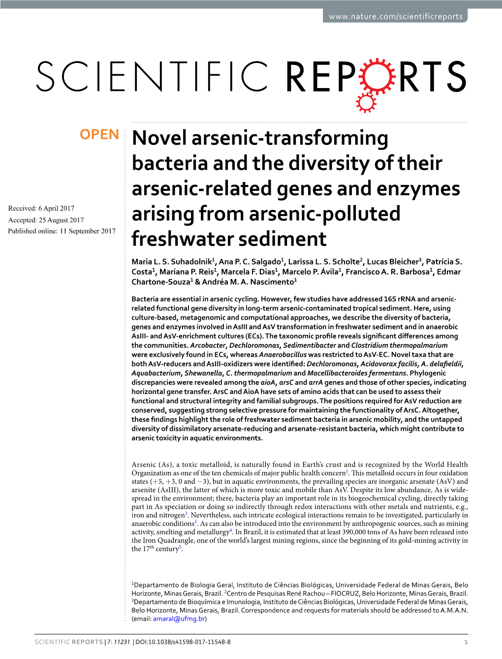 Novel Arsenic-Transforming Bacteria and the Diversity of Their Arsenic