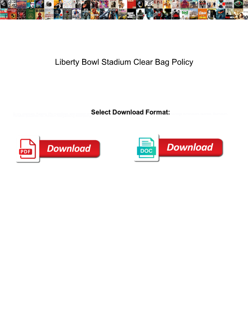 Liberty Bowl Stadium Clear Bag Policy