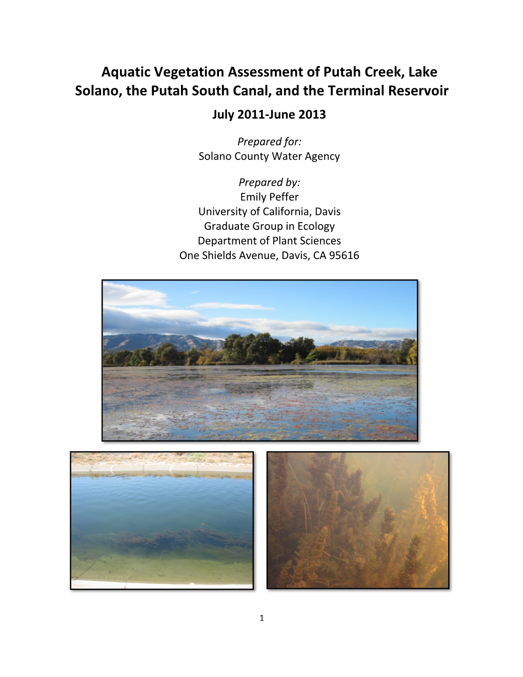 Aquatic Vegetation Assessment of Putah Creek, Lake Solano, the Putah South Canal, and the Terminal Reservoir