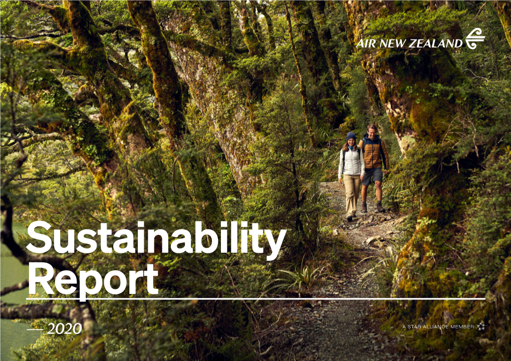 SUSTAINABILITY REPORT 2020 — Contents