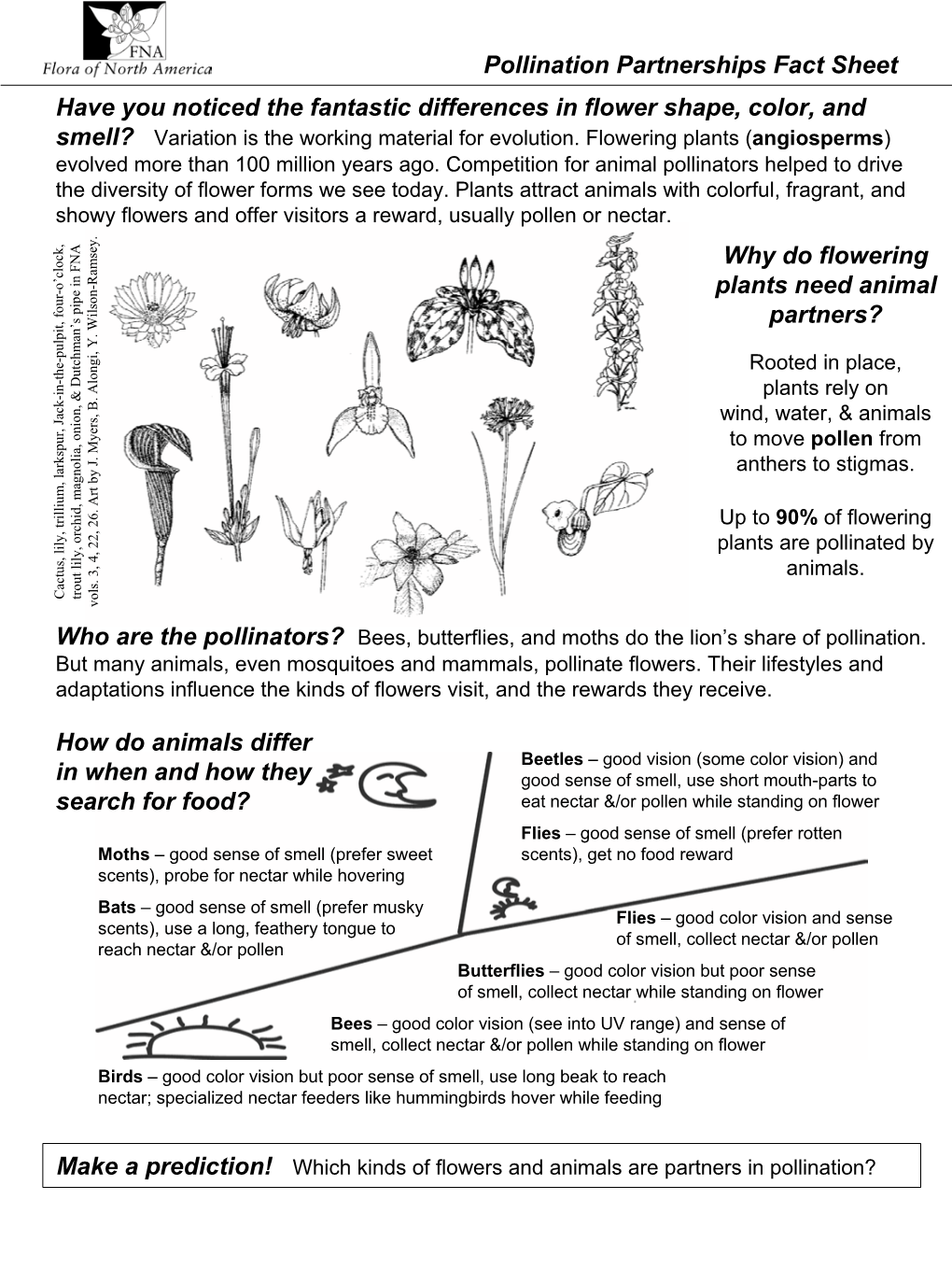 Pollination Partnerships Fact Sheet Why Do Flowering Plants Need
