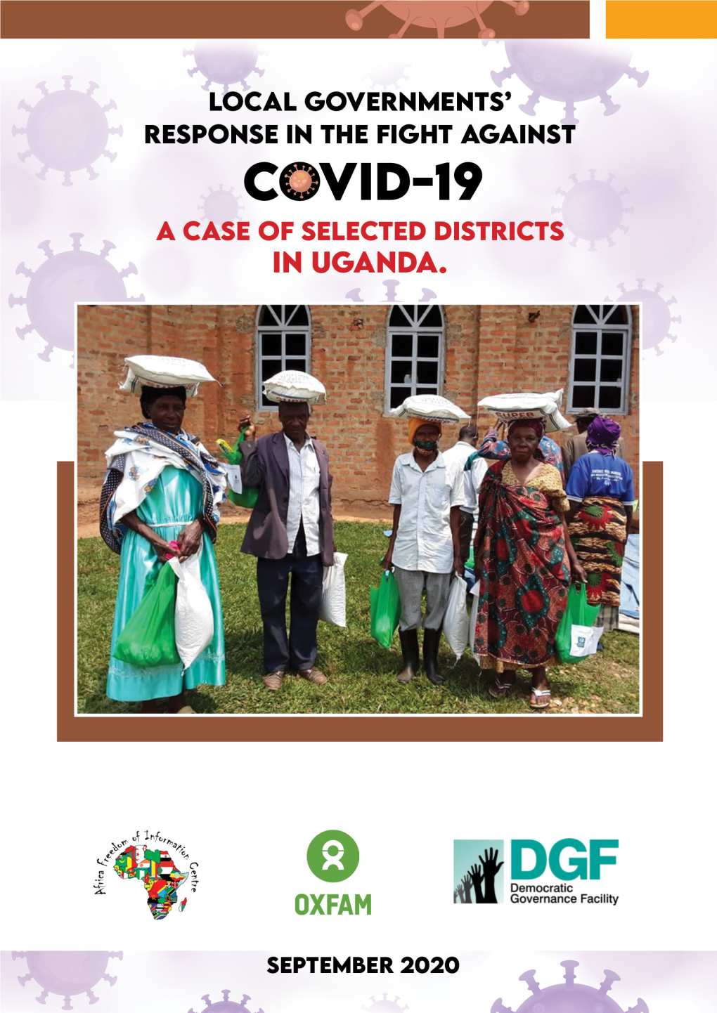 COVID-19 Local Governments Monitoring Report