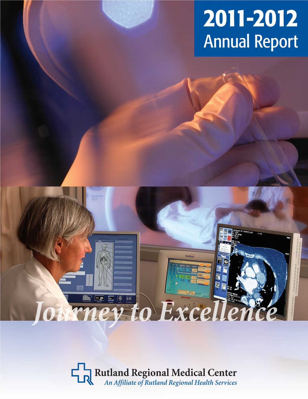 Journey to Excellence Our Vision to Be the Best Community Healthcare System in New England