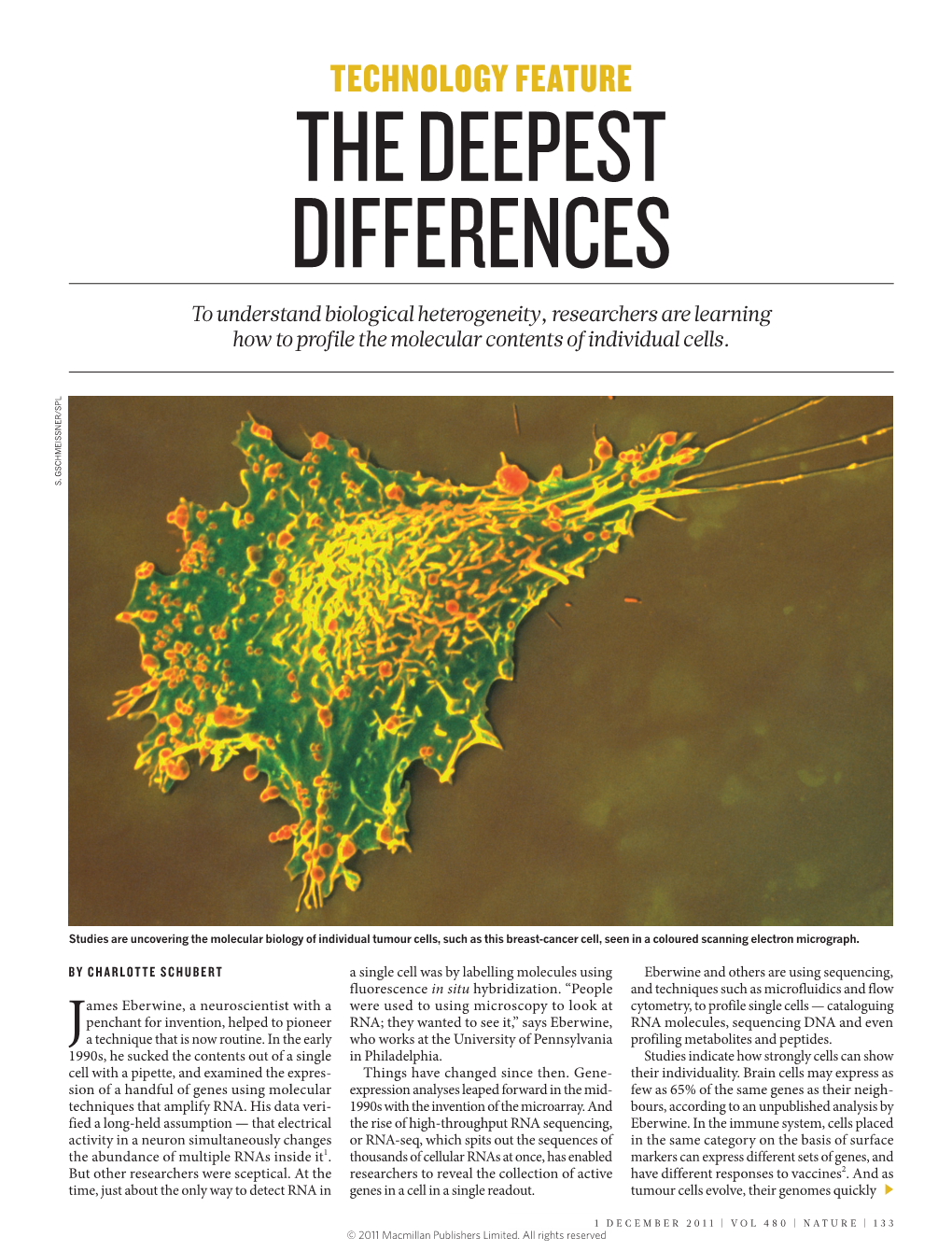 Single-Cell Analysis: the Deepest Differences