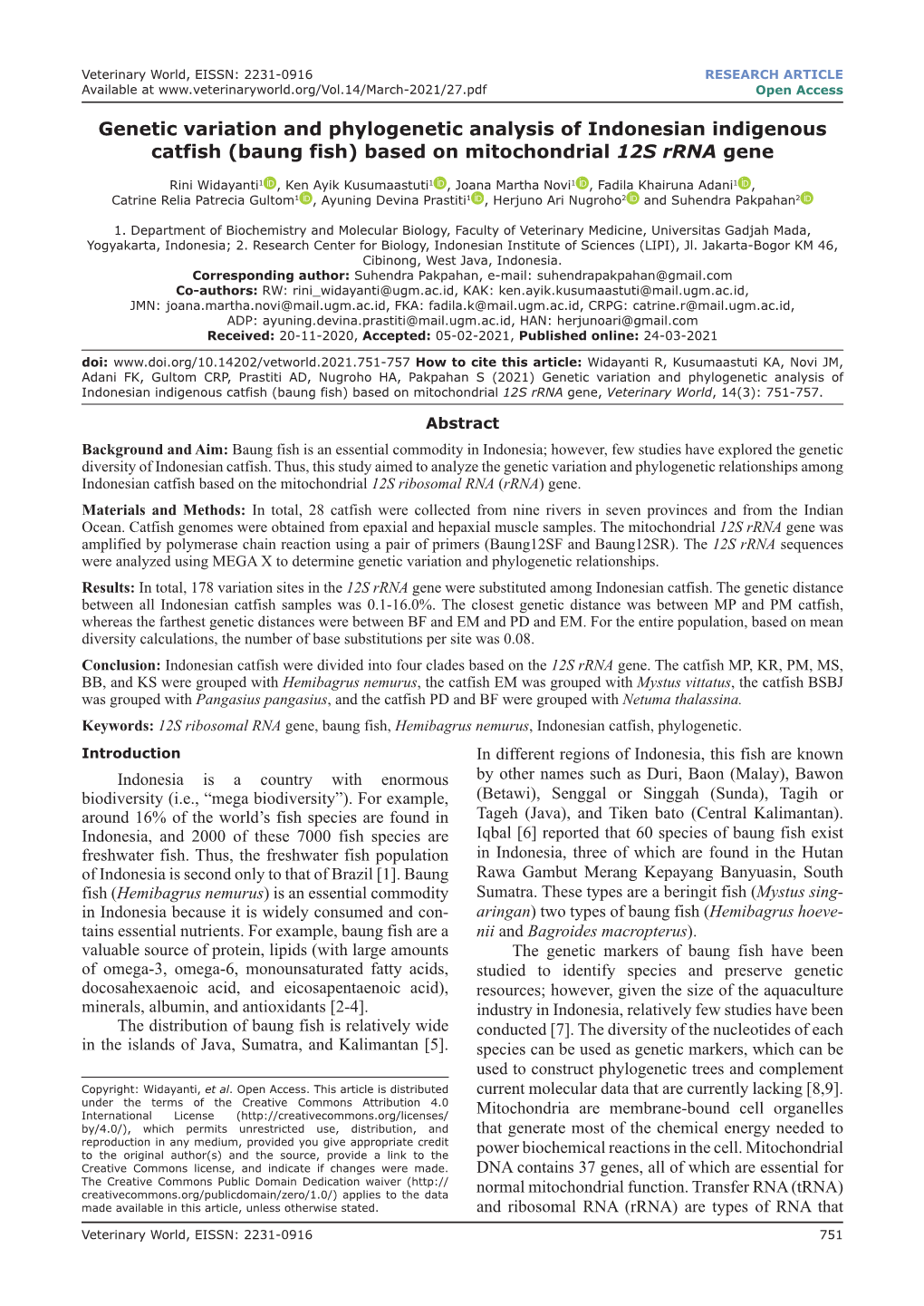 Genetic Variation and Phylogenetic Analysis of Indonesian Indigenous Catfish (Baung Fish) Based on Mitochondrial 12S Rrna Gene