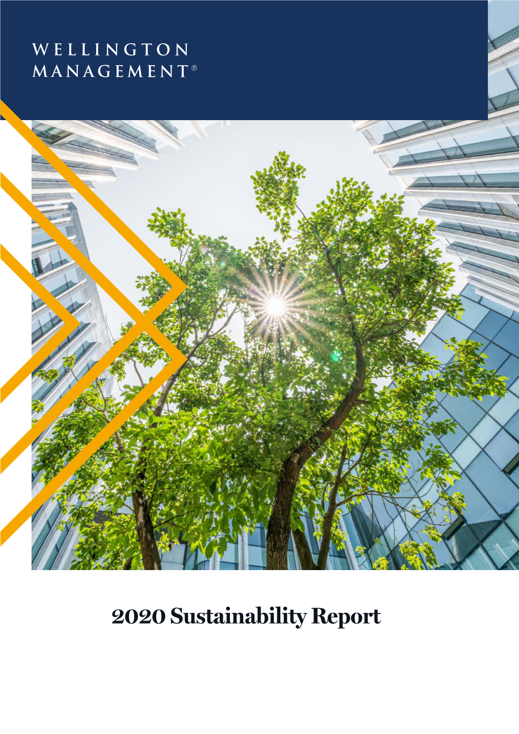 2020 Sustainability Report Contents