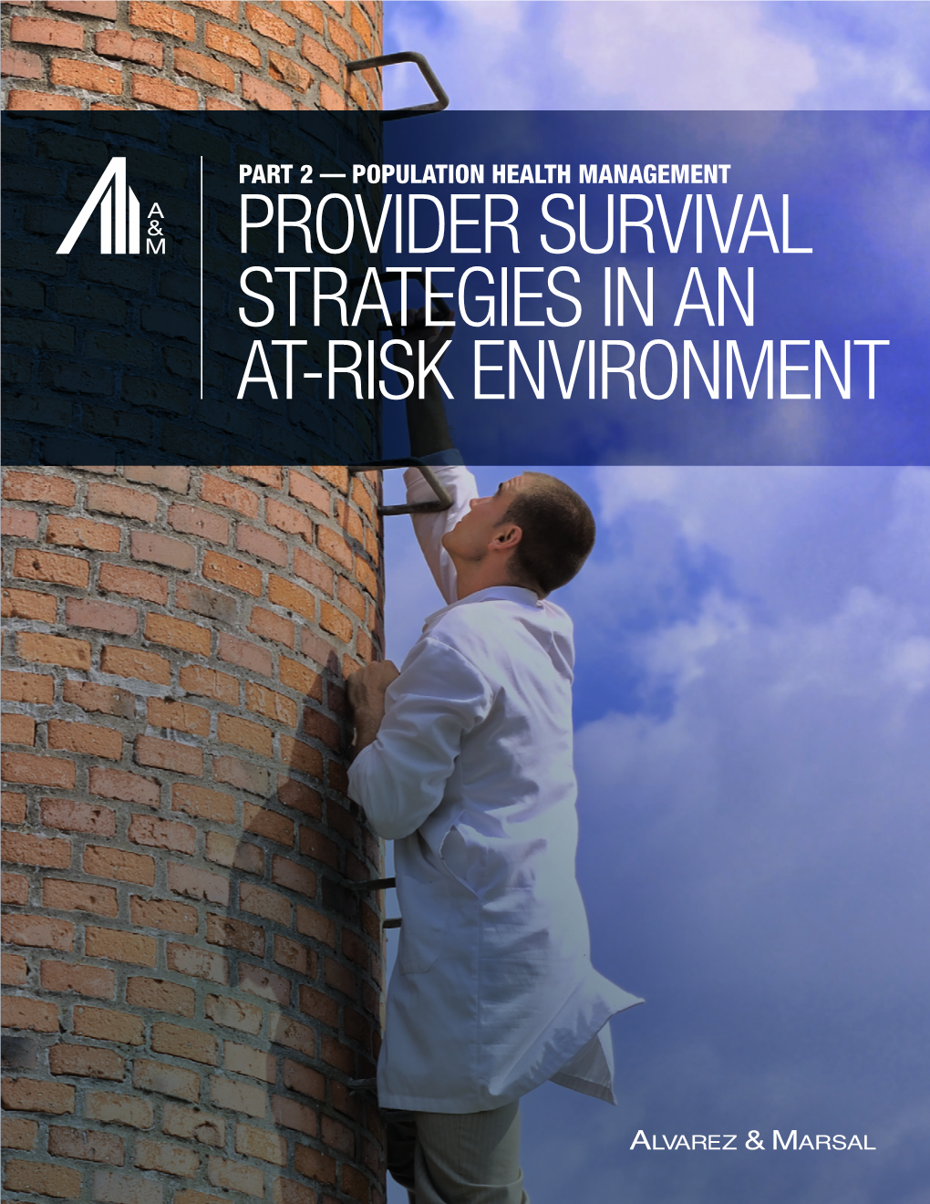 Provider Survival Strategies in an At-Risk Environment
