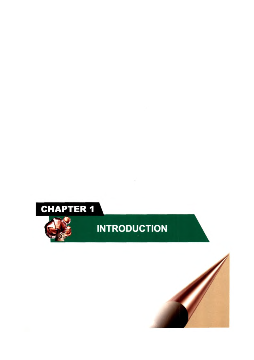 13 Chapter 1.Pdf