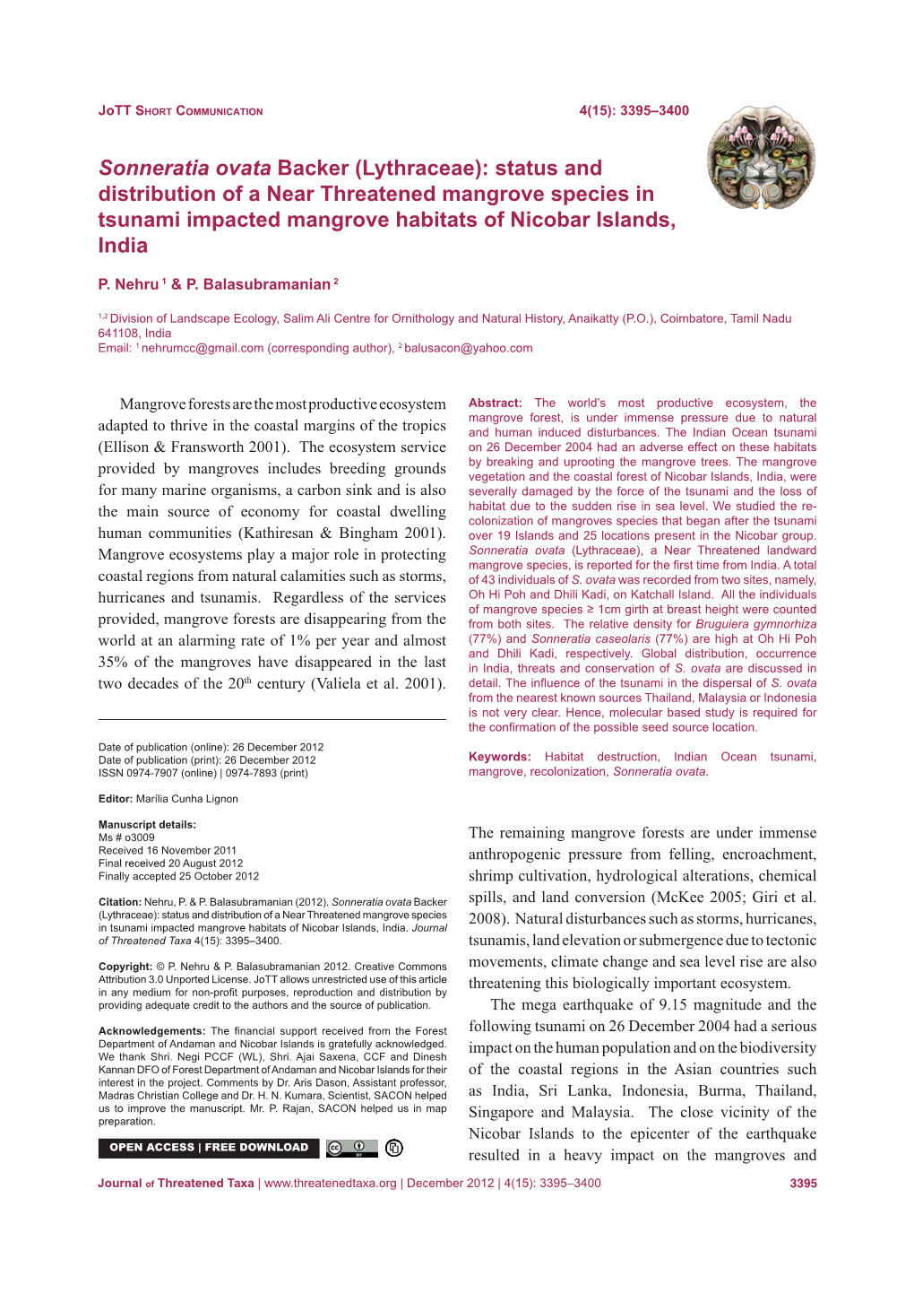 Sonneratia Ovata Backer (Lythraceae): Status and Distribution of a Near Threatened Mangrove Species in Tsunami Impacted Mangrove Habitats of Nicobar Islands, India