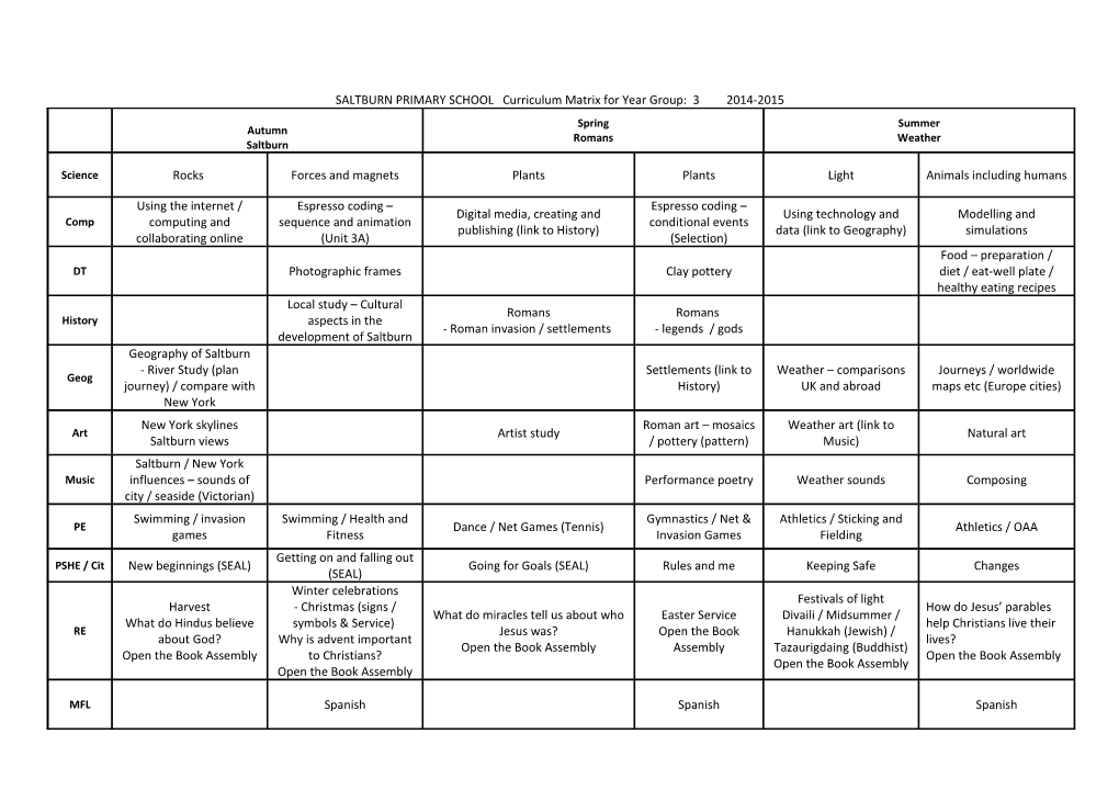 SALTBURN PRIMARY SCHOOL Curriculum Matrix for Year