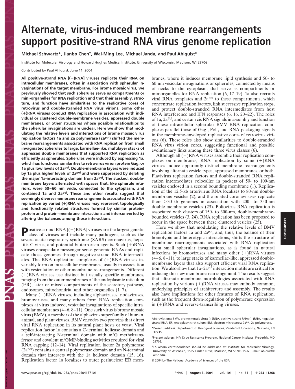 Alternate, Virus-Induced Membrane Rearrangements Support Positive-Strand RNA Virus Genome Replication