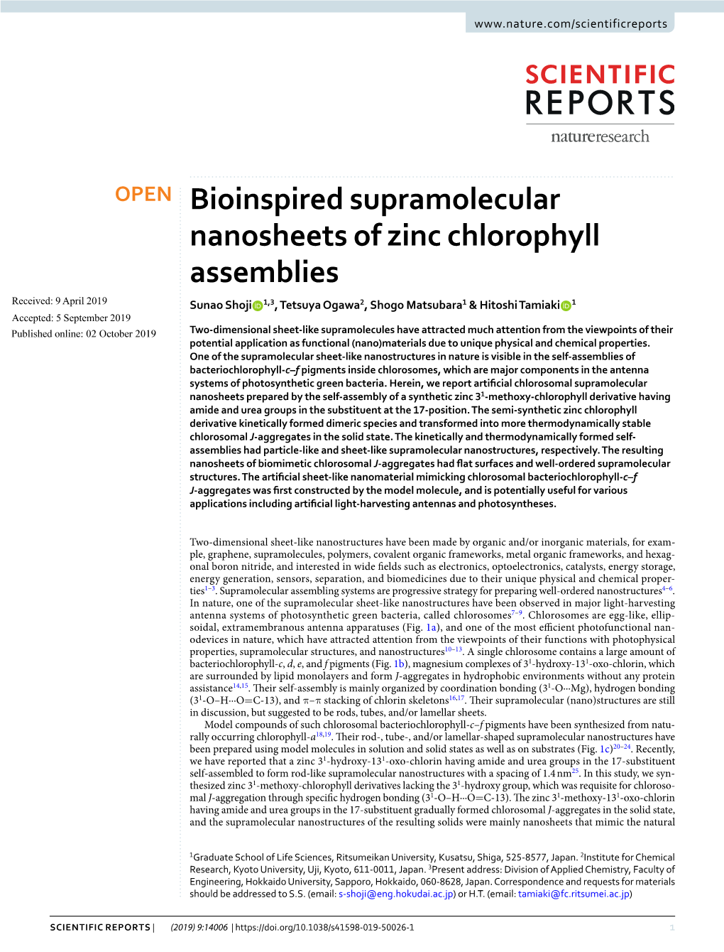 Bioinspired Supramolecular Nanosheets of Zinc Chlorophyll