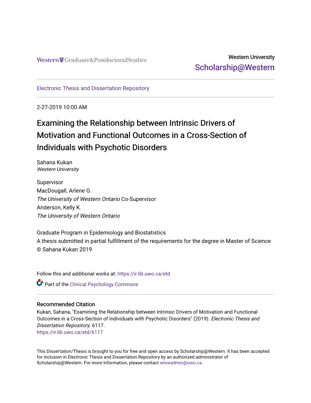 Examining the Relationship Between Intrinsic Drivers of Motivation and Functional Outcomes in a Cross-Section of Individuals with Psychotic Disorders